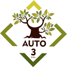 Auto 3